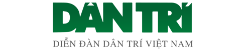 logo bao dan tri